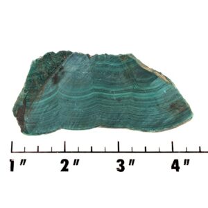 Slab1549 - Malachite