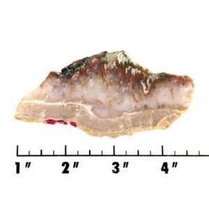 Slab1581 - Prudent Man Plume Agate