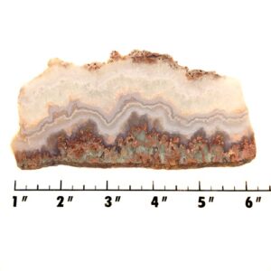 Slab1595 - Prudent Man Plume Agate