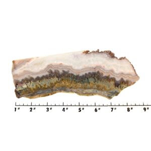 Slab160 - Prudent Man Plume Agate