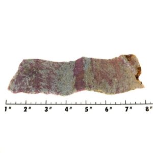 Slab1354 - Ruby in Kyanite