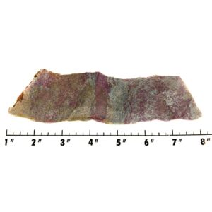 Slab1355 - Ruby in Kyanite