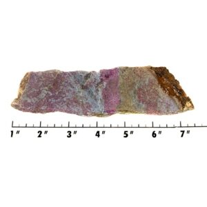 Slab1356 - Ruby in Kyanite