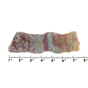 Slab1358 - Ruby in Kyanite