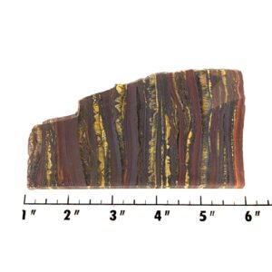 Slab1655 - Tiger Iron