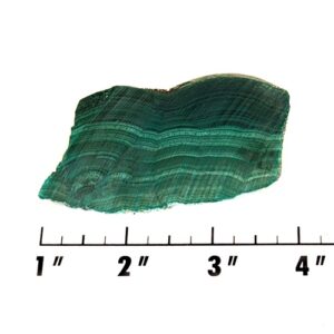 Slab1570 - Malachite