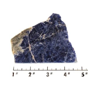 Slab1694 - Sodalite