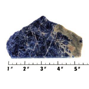 Slab1698 - Sodalite