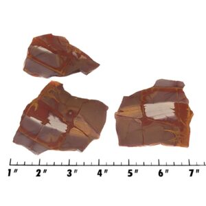 Slab1755 - Noreena Jasper