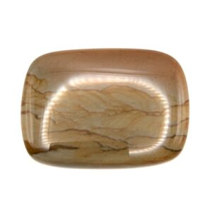 Cab664 - Owyhee Jasper