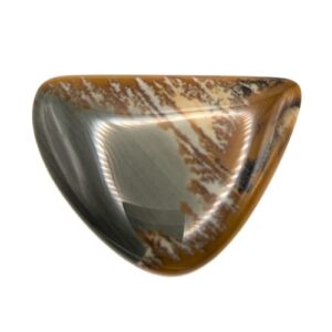 Cab665 - Owyhee Jasper