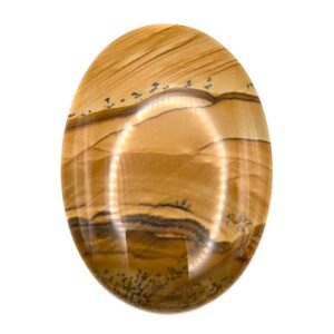 Cab645 - Owyhee Jasper