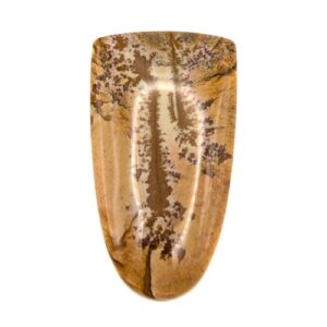 Cab650 - Owyhee Jasper