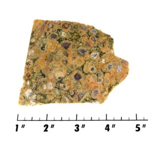 Slab1796 - Rainforest Jasper