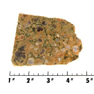 Slab1806 - Rainforest Jasper