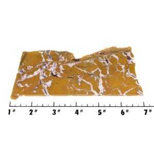 Slab1789 - Samson Peak Brecciated Jasper