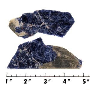 Slab1701 - Sodalite