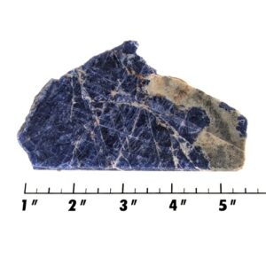 Slab171 - Sodalite