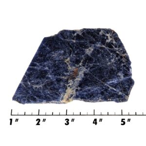 Slab1713 - Sodalite