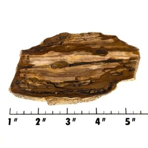 Slab1921 - Deschutes Picture Jasper