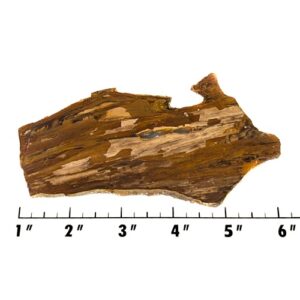 Slab1922 - Deschutes Picture Jasper