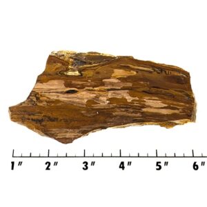 Slab1924 - Deschutes Picture Jasper