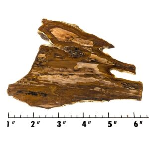 Slab1930 - Deschutes Picture Jasper