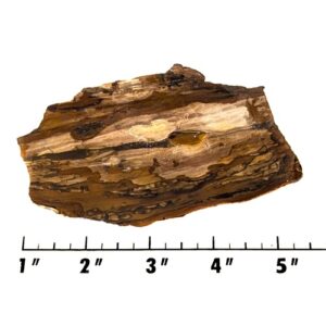 Slab1929 - Deschutes Picture Jasper