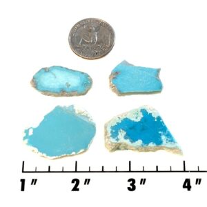 Slab203 - Stabilized Sonoran Blue Turquoise