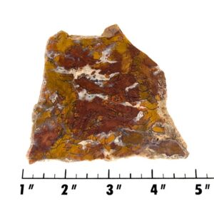 Slab1769 - Stone Canyon Agate