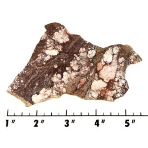 Slab2052 - Wild Horse Magnesite