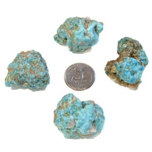 Cumpas Stabilized Turquoise Medium-Large size Rough #25