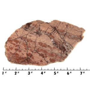 Slab2118 - Kona Dolomite