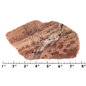 Slab214 - Kona Dolomite