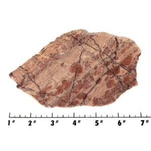 Slab2105 - Kona Dolomite