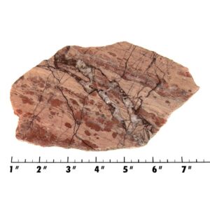 Slab2112 - Kona Dolomite