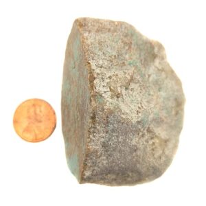 Number 8 Mine Stabilized Turquoise Rough #20