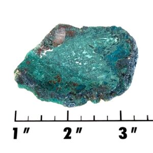 Slab220 - Chrysocolla