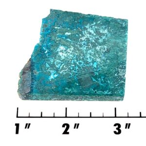 Slab2193 - Chrysocolla