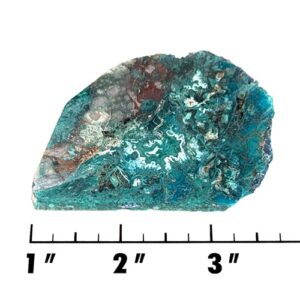 Slab2198 - Chrysocolla