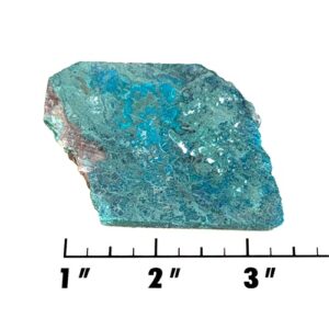 Slab2199 - Chrysocolla