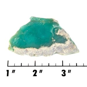 Slab2167- Chrysoprase