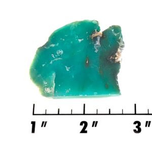 Slab2169- Chrysoprase