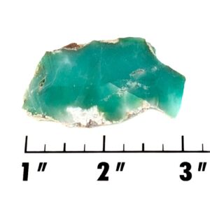 Slab216- Chrysoprase