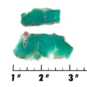 Slab2170- Chrysoprase