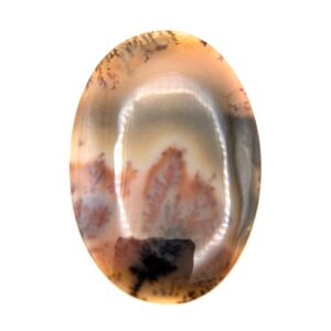 Cab709 - Dendritic Agate