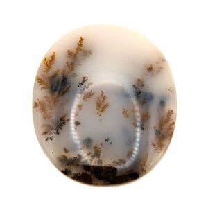 Cab723 - Dendritic Agate