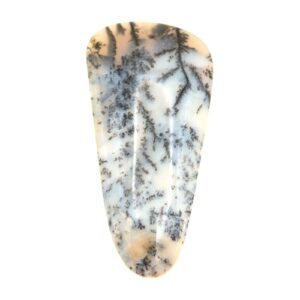 Cab726 - Dendritic Agate