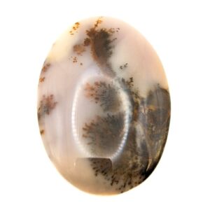 Cab727 - Dendritic Agate