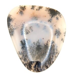 Cab728 - Dendritic Agate